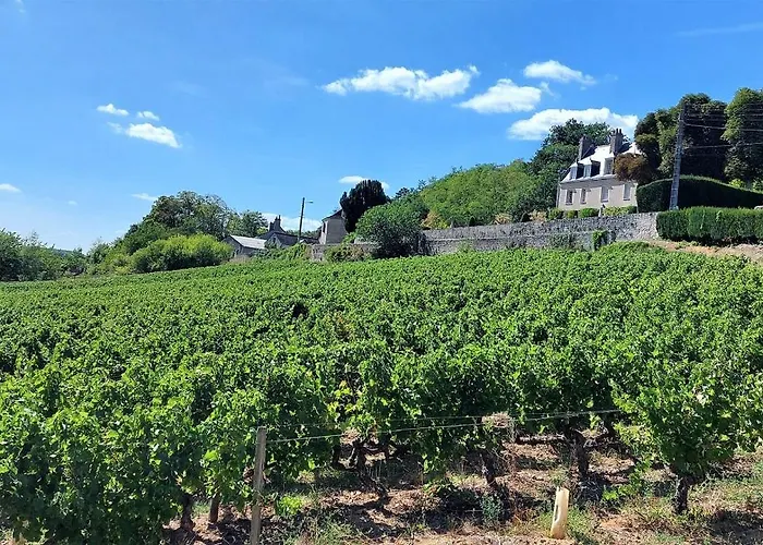 Апартаменты Le Racine / Colbert - Bords De Loire *